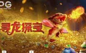 大小单双导师带赚包赔免费版