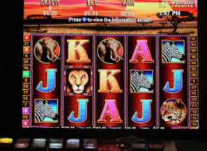 大小单双导师带赚包赔手机版