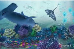 大小单双导师带赚包赔2024最新版