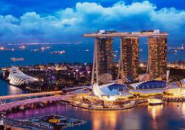 大小单双导师带赚包赔最新版